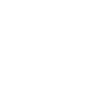 KK2845 Icon