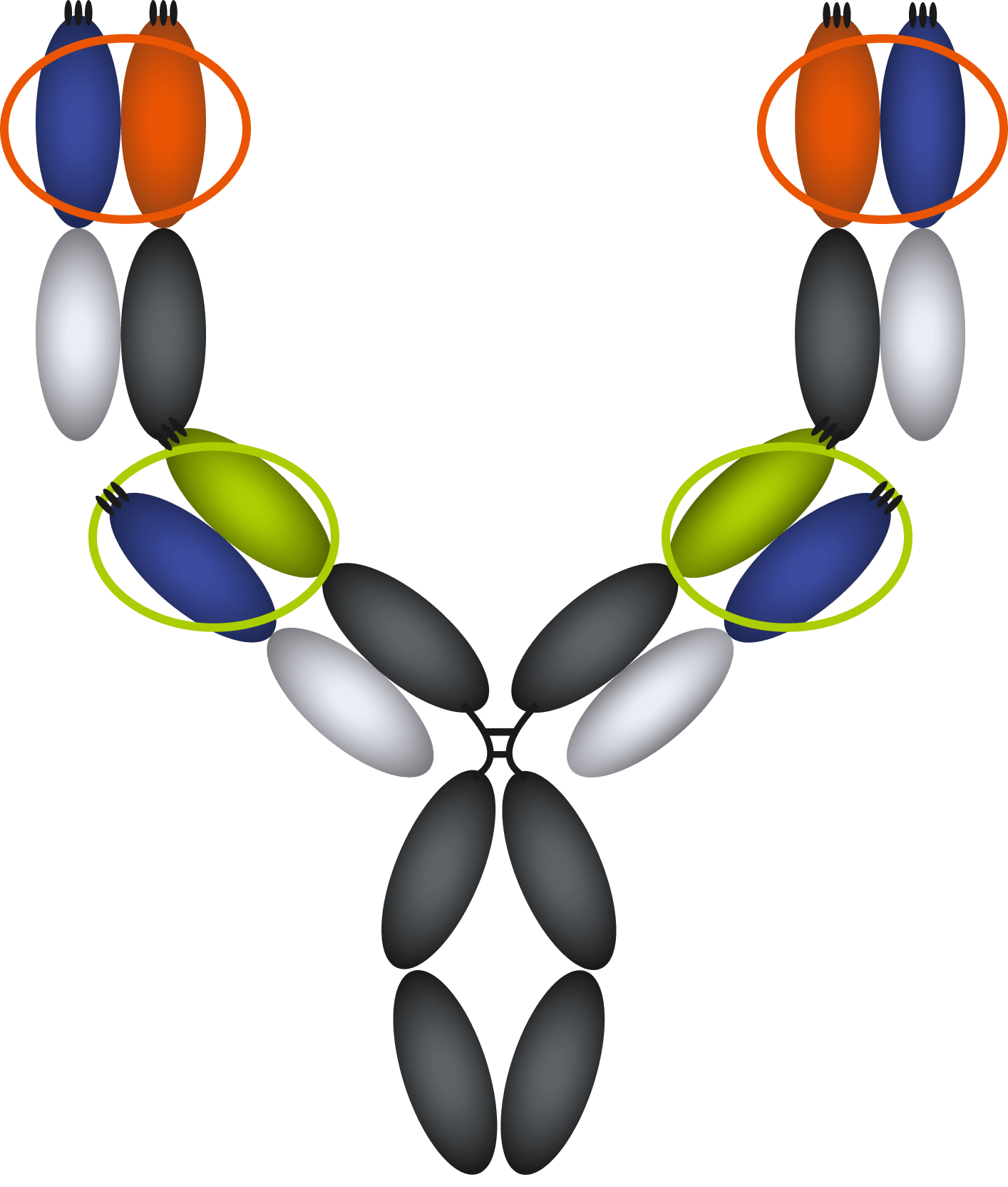 KK2260 mechanism animation