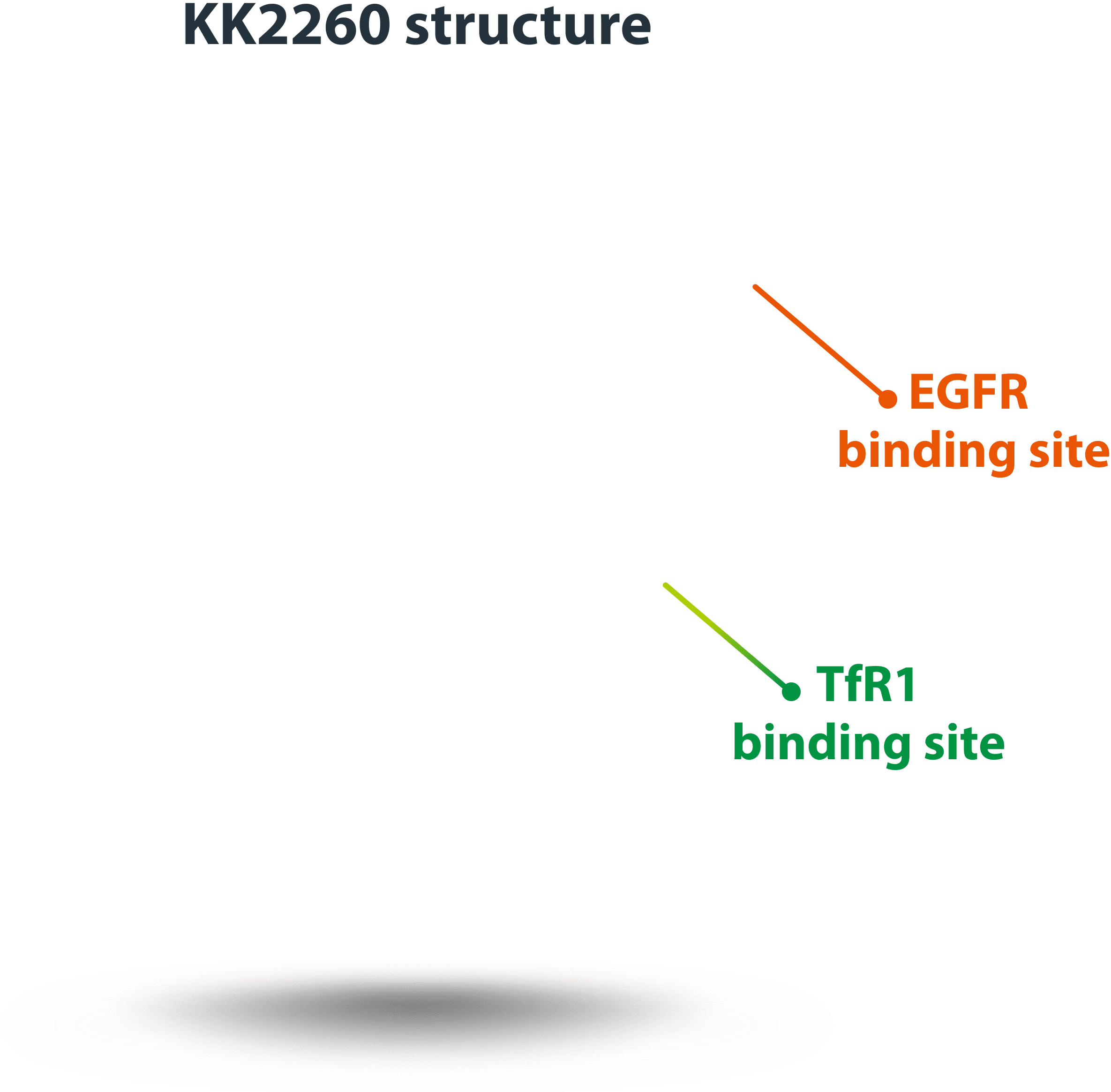 KK2260 mechanism background