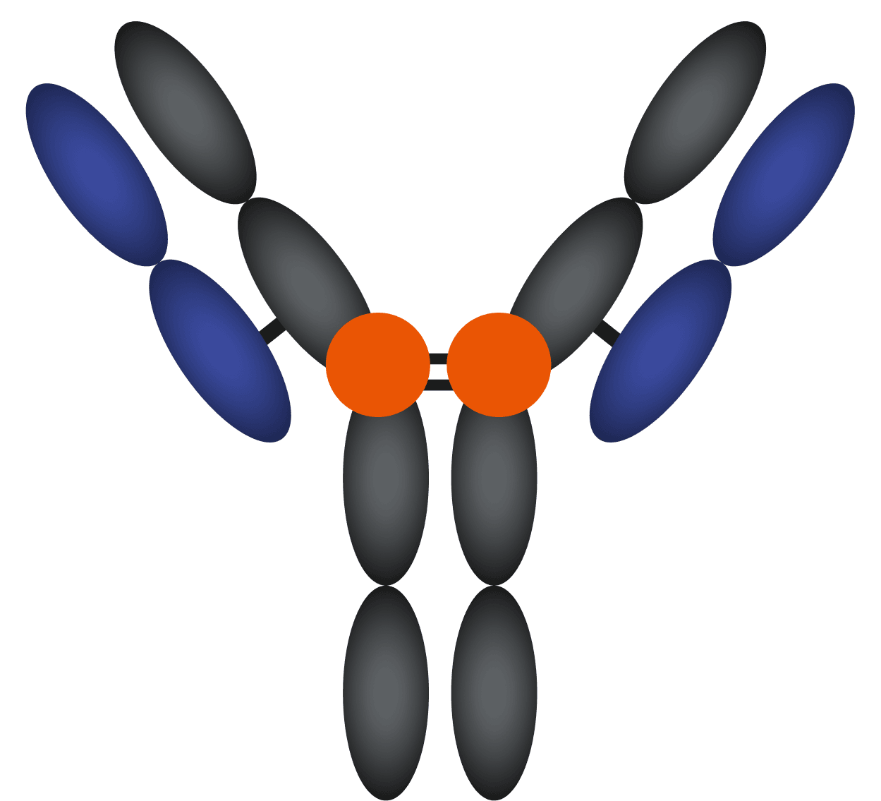 KK2845 mechanism animation