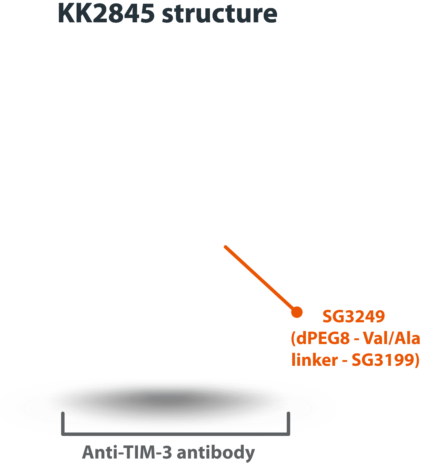 KK2845 mechanism background